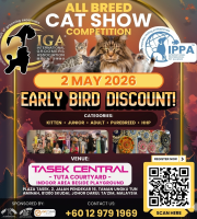 CAT SHOW